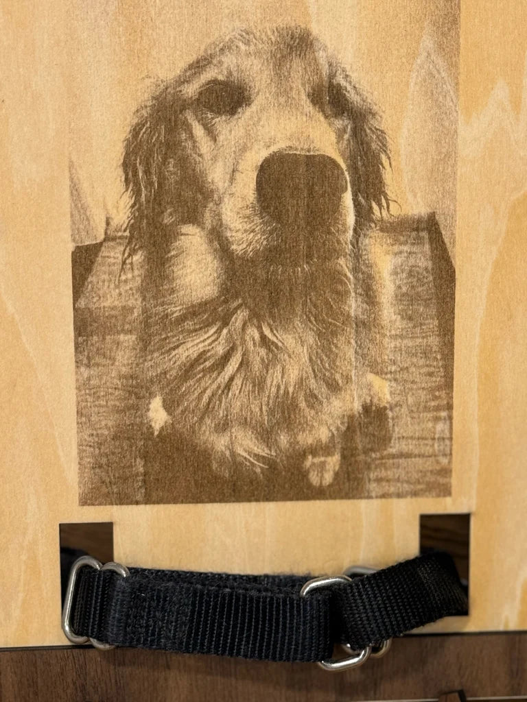Pet Memorial